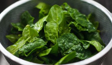 how to grow and harvest spinach