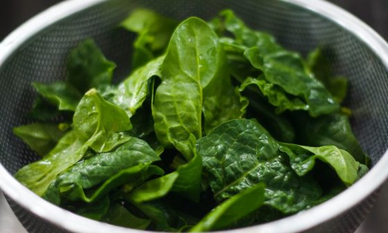 how to grow and harvest spinach