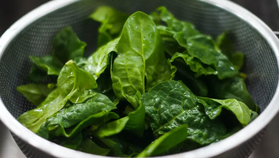 how to grow and harvest spinach