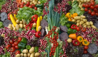 a vegetable garden