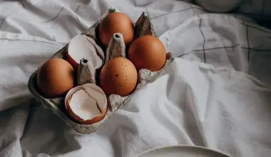 are eggshells green or brown compost