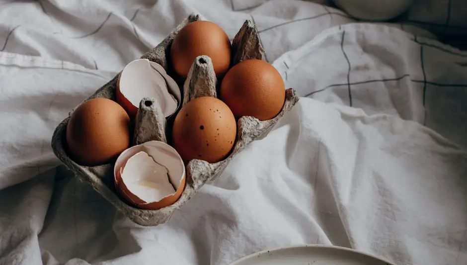 are eggshells green or brown compost