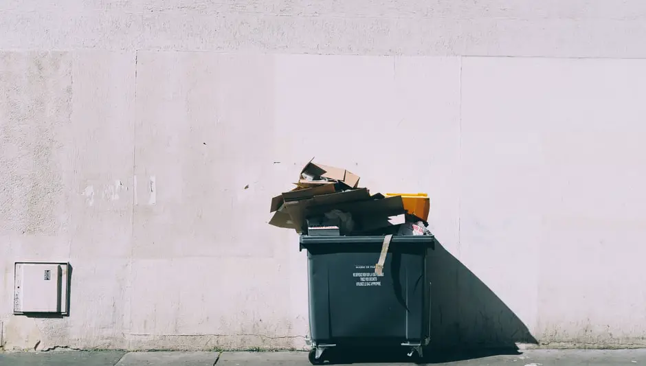 does a compost bin need to be in the sun