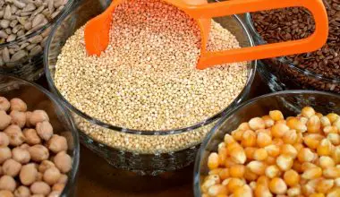 what are the health benefits of sesame seeds
