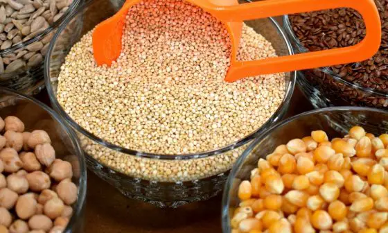 what are the health benefits of sesame seeds