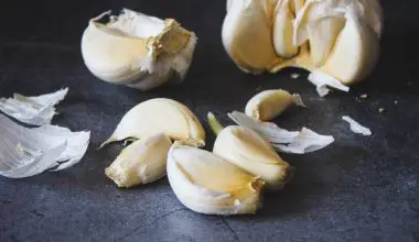how do you grow garlic in a garden