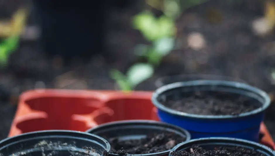 what kind of soil for raised bed garden