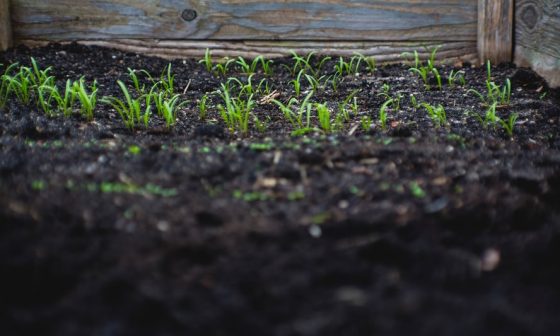 how to re mulch