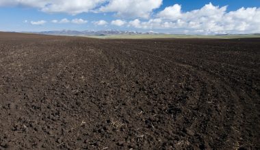 does compost turn into soil