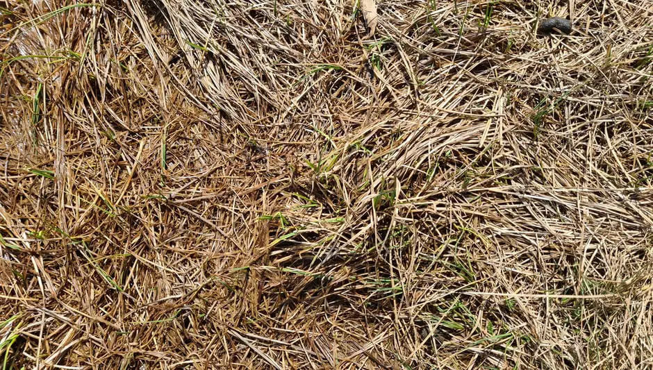 how many cubic feet in a scoop of mulch