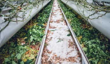 where to site a greenhouse