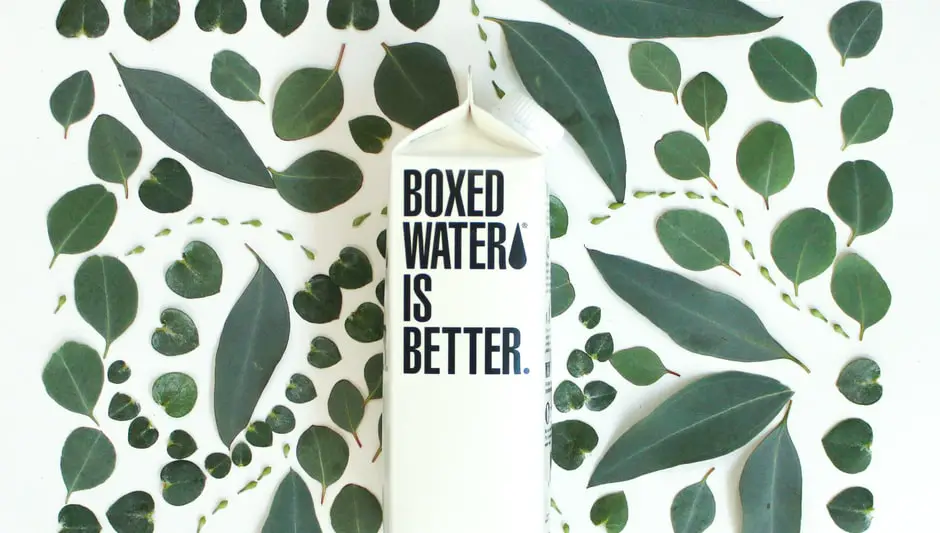 Do All Plants Make Their Own Food (Explanation Revealed!)