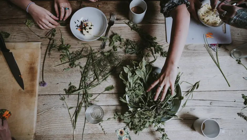 What Size Pot To Grow Herbs? (Easily Explained Inside!)