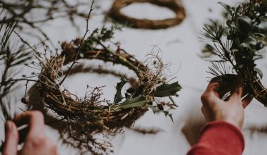 how to make a succulent wreath