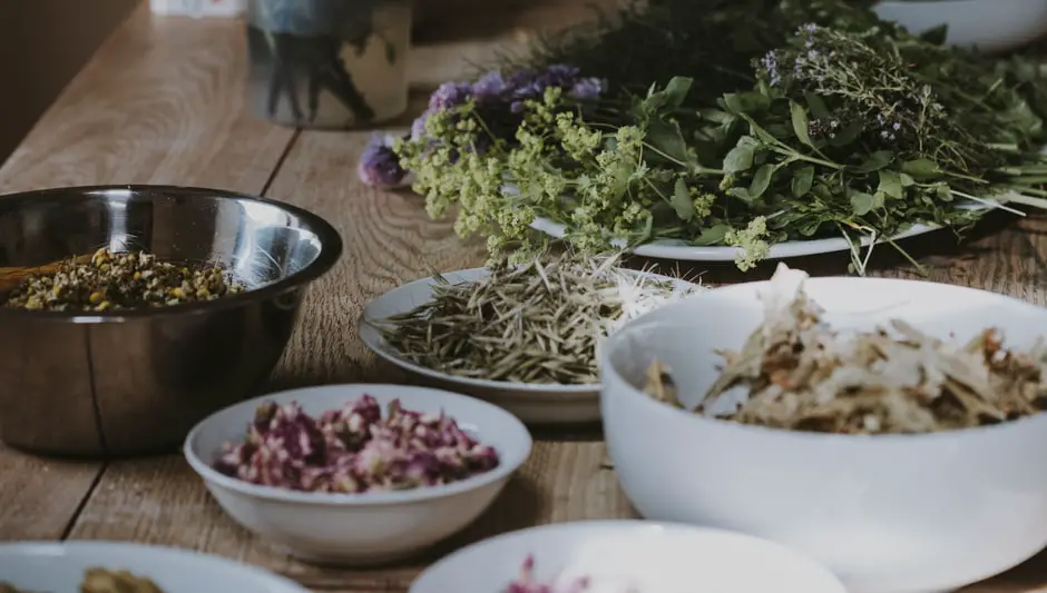 how to harvest herbs