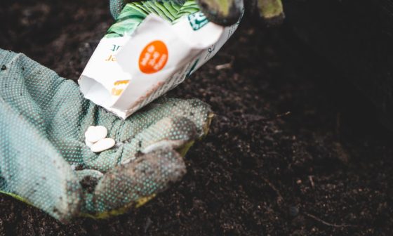 what vegetables to plant in may in california