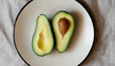 will an avocado tree grow in texas