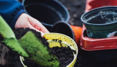 how do i make a raised bed garden