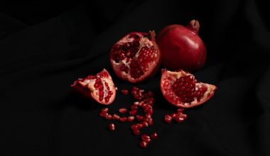 how to propagate pomegranate seeds