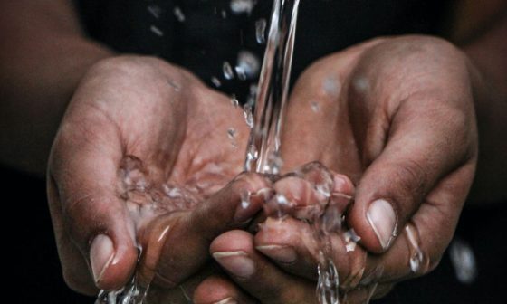 how often should you water succulents