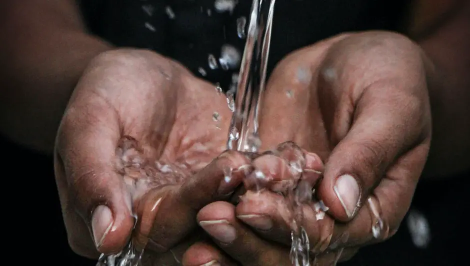 How Tall Do Anthurium Plants Grow? (Easy & Clear Answer)