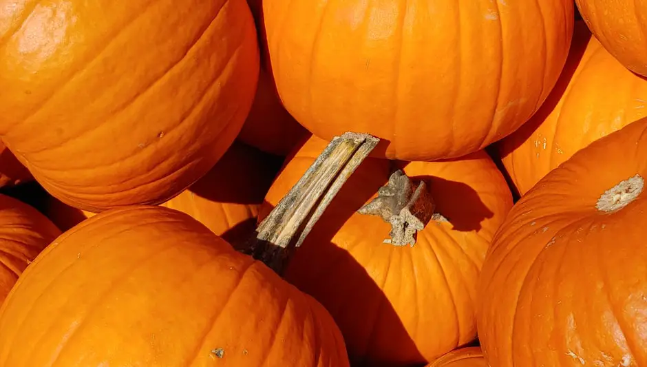 how long to boil pumpkin seeds