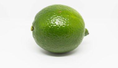 when do you put lime on your lawn