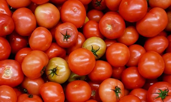 how to set up a vegetable garden