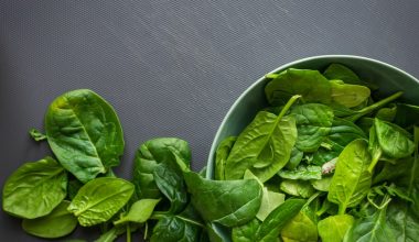 how do you harvest spinach