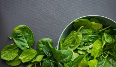 how do you harvest spinach