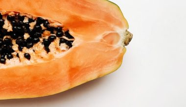 how to grow a papaya tree