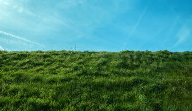 how to get lines in grass