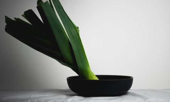 when do i plant leek seeds