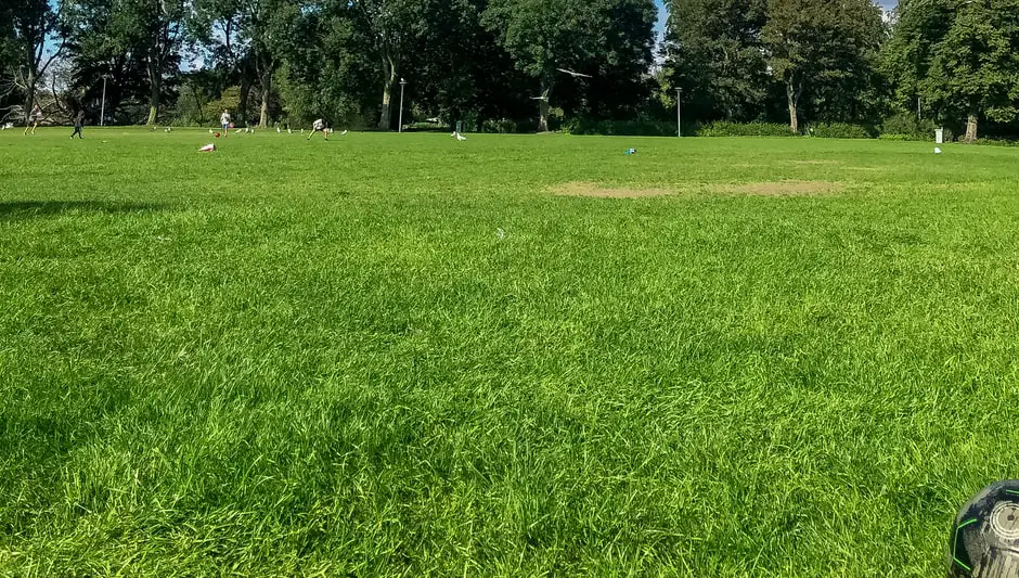 how long to leave straw on grass seed