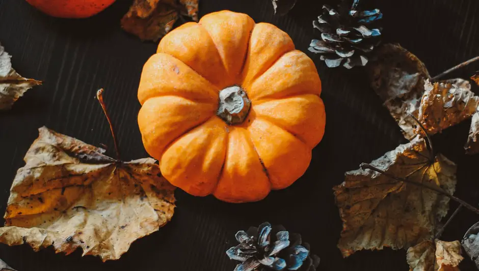 can uncooked pumpkin seeds go bad