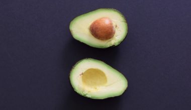 how to sprout an avocado seed without toothpicks