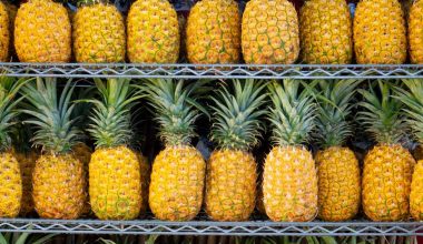 how to grow pineapple from seed