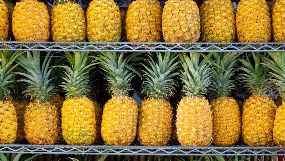 how to grow pineapple from seed