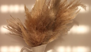 how to bleach pampas grass