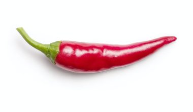 how long does it take to grow peppers hydroponically