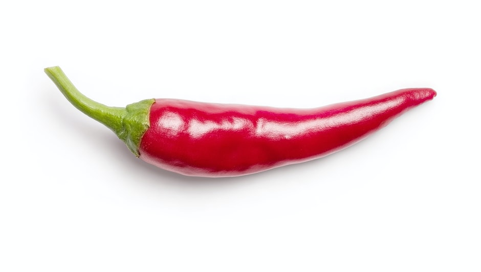 how long does it take to grow peppers hydroponically