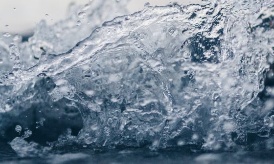 what causes hydrangea leaves to curl and turn brown