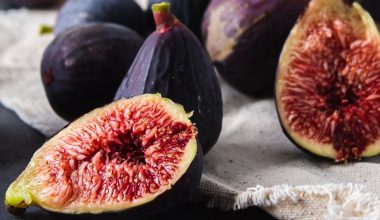 how to harvest figs
