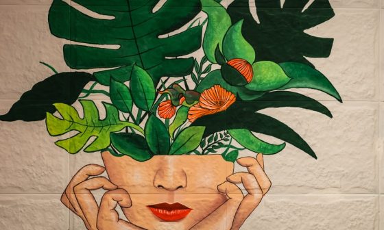 are all flower bulbs perennials