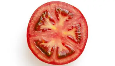 are tomato seeds digestible