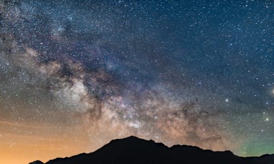 how to get free seeds from the government