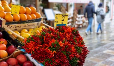 when to harvest red chili peppers