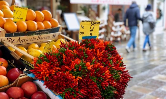 when to harvest red chili peppers