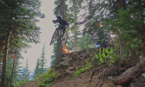 how to make a landscape berm