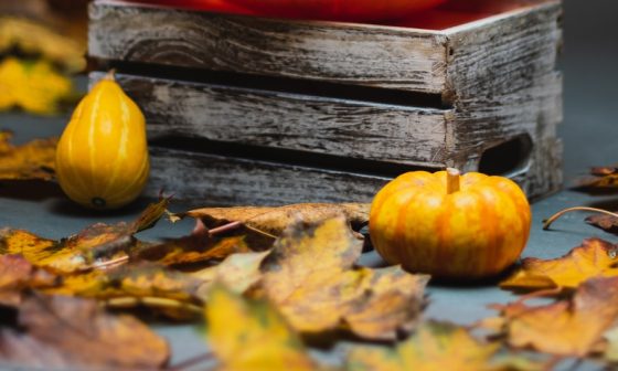 are you supposed to eat the whole pumpkin seed